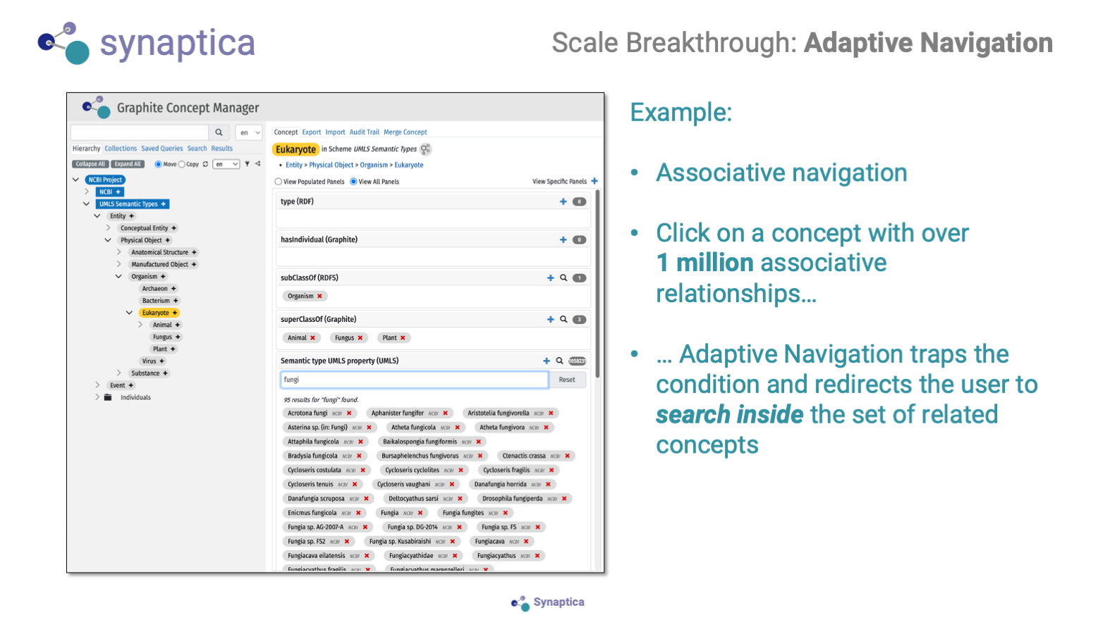 Breakthrough Moments in Enterprise Taxonomy Management - Synaptica LLC